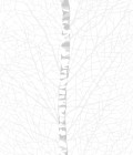Vallila_Sarastus_Koivikko_tapetti_white